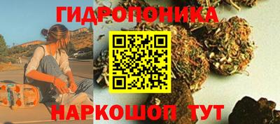 ГАЛЛЮЦИНОГЕННЫЕ ГРИБЫ Кимры
