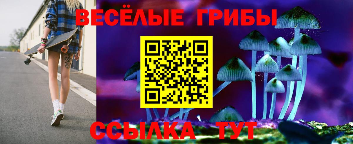 Псилоцибиновые грибы мухоморы Тобольск